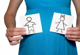 На какой неделе беременности можно узнать пол ребенка на УЗИ и насколько точно его определяют?